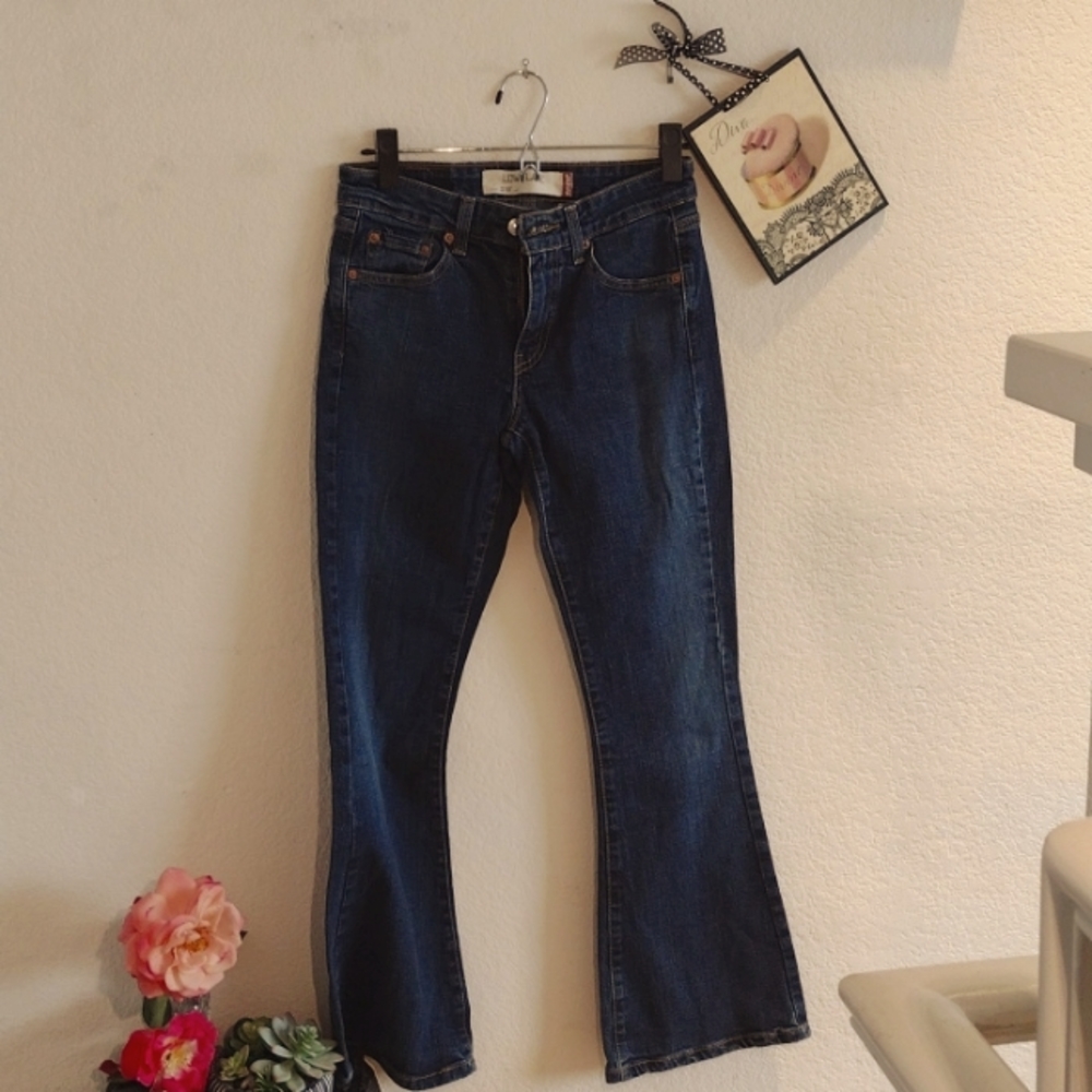 Levi's 519 Flare Womens/Junior Jeans Sz 3
